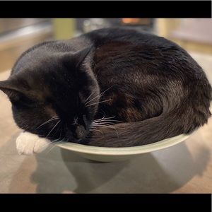 Meet your Posher, Caitlin